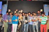 Jyothi Lakshmi Audio Launch